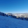 fot.Nitka;