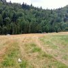 Jaworki-Litmanowa-Wąwóz Homole-Jaworki