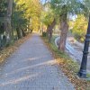 Piwniczna Zdrój-Kicarz-Jaworki