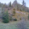 Piwniczna Zdrój-Kicarz-Jaworki