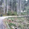 Przełęcz Krowiarki - Markowe Szczawiny - Babia Góra