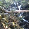 Lipnica Wielka-Babia Góra-Lipnica Wielka