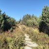 Lipnica Wielka-Babia Góra-Lipnica Wielka