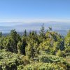 Lipnica Wielka-Babia Góra-Lipnica Wielka
