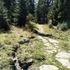 Lipnica Wielka-Babia Góra-Lipnica Wielka