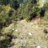 Lipnica Wielka-Babia Góra-Lipnica Wielka