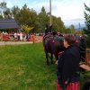Góralska kapliczka
