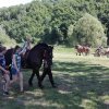 Powiatowy Piknik Rodzinny