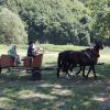 Powiatowy Piknik Rodzinny