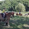 Powiatowy Piknik Rodzinny