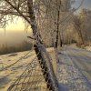 fot.Katarzyna; "Jazowsko Wierchy"