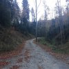 Obidza jesienią autro Anna B.