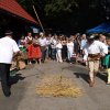 Owocobranie 2016