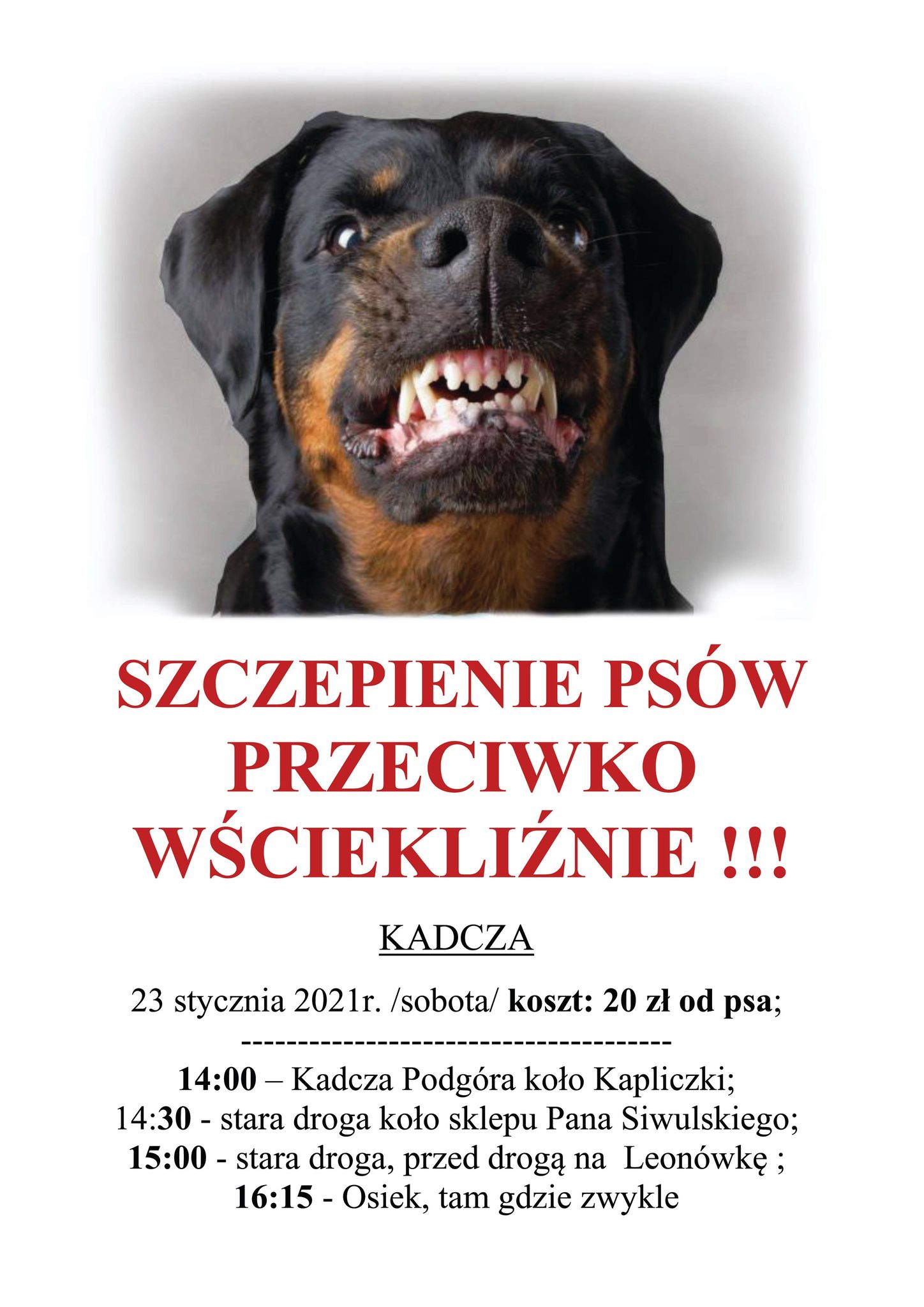 szczepienia kadcza2021